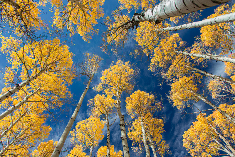 Illustration for article titled 48 Photos Of Autumn Around The World